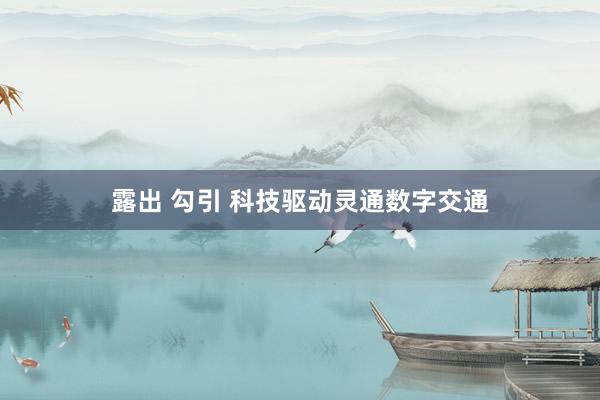 露出 勾引 科技驱动灵通数字交通