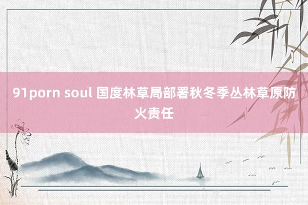 91porn soul 国度林草局部署秋冬季丛林草原防火责任
