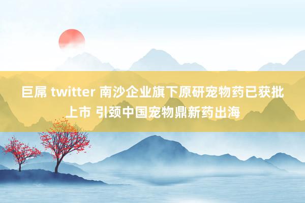 巨屌 twitter 南沙企业旗下原研宠物药已获批上市 引颈中国宠物鼎新药出海