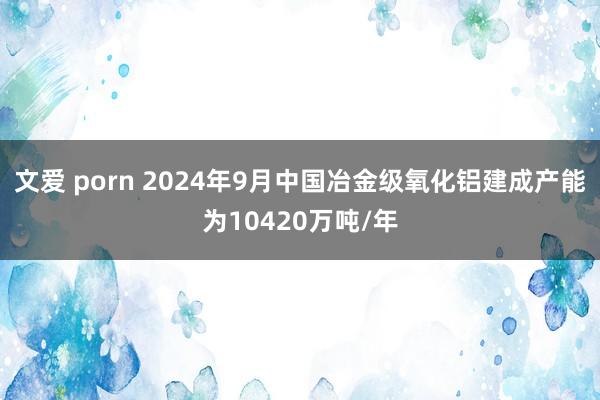 文爱 porn 2024年9月中国冶金级氧化铝建成产能为10420万吨/年