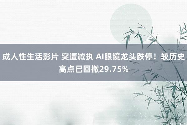 成人性生活影片 突遭减执 AI眼镜龙头跌停！较历史高点已回撤29.75%