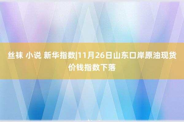 丝袜 小说 新华指数|11月26日山东口岸原油现货价钱指数下落