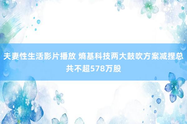 夫妻性生活影片播放 熵基科技两大鼓吹方案减捏总共不超578万股