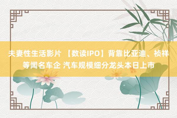 夫妻性生活影片 【数读IPO】背靠比亚迪、祯祥等闻名车企 汽车规模细分龙头本日上市
